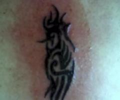 tribal