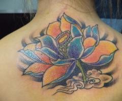 Loto