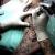 Tattoo Artist
