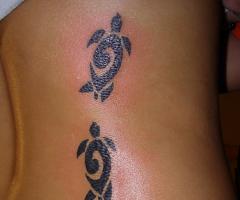 Tatuagem de tartaruga no estilo tribal maori