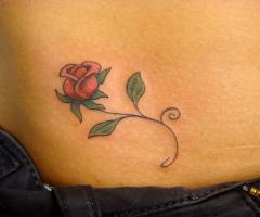 Rosa tatuada na cintura