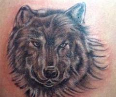 Mi lobo
