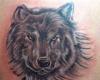 Mi lobo