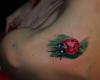 Coccinellidae tatouage
