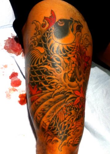 Koi Fish