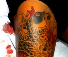 Koi Fish
