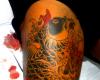 Koi Fish