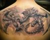 Feenix vs Dragon Tattoo