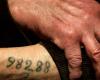 Tatouage made in Auschwitz