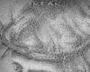 Tatuaje de rostro de Cristo