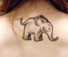 Best Elephant tattoos