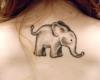 Elefante bebe