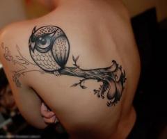 Tatuagens de Corujas