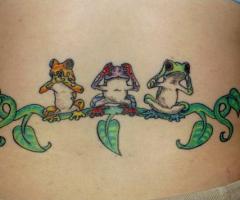 Tres ranas en una enredadera