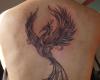 Tatuaje de Ave Fenix en espalda