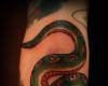 Serpiente de mil ojos