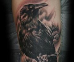 Tatuaje de cuervo