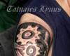 Brazo Biomecanico