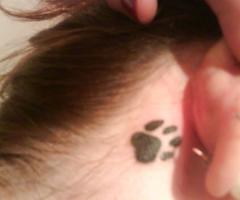 Huellitas de perro detras de la oreja