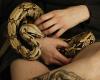 The Posing Snake tattoo