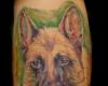 Nature animal dog tattoo