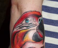 Parrot tattoo