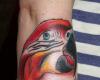 Parrot tattoo