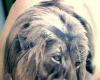 Lion tattoo pic