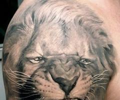 African Lion tattoo