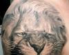 African Lion tattoo