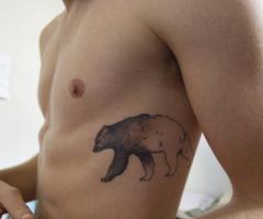 Tatuaje de oso en la costilla