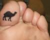 Cigarrillos Camel