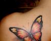 Big butterfly on shoulder