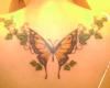 Orange butterfly with green curving leaves on back