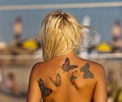 Butterflies