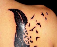 Pluma que se deshace en pajaros