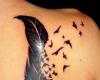 Pluma que se deshace en pajaros