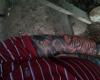 Manga tatuada con un tigre y un dragon