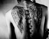 Spine and wings