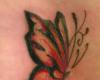 Butterfly Red