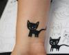 Little cat