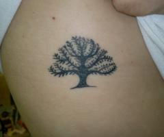 ArBoL dE lA vIdA!!