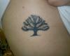 ArBoL dE lA vIdA!!