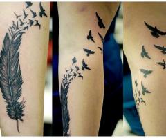 Pluma y pajaros en libertad