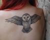 Owl on back