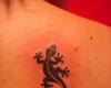 Gecko Tattoo Design And Pictures