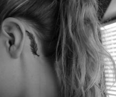 Pluma pequeña detras de la oreja