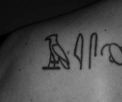 Hieroglyphic for the word brain