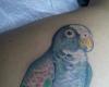 Tatuaje de perico
