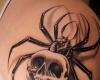 Spider Tattoo Pictures